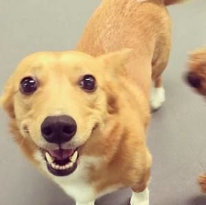 Meet your Posher, Kevin